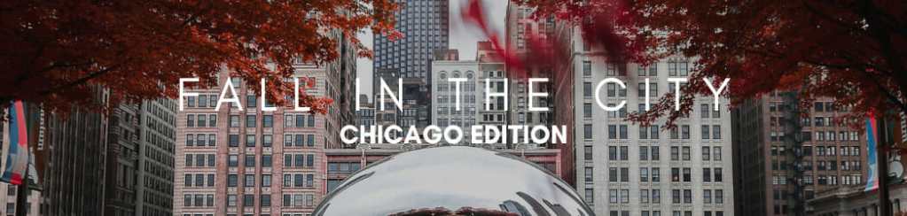 Fall In The City : Chicago Edition