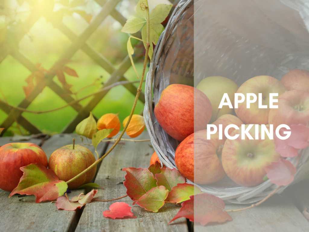 Apple Orchards In Chicago